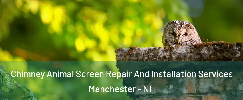 Chimney Animal Screen Repair And Installation Services Manchester - NH
