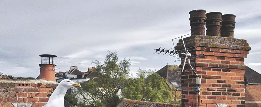 Chimney Cleaning And Restoration in Manchester, New Hampshire
